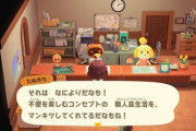 あつまれどうぶつの森、プラチナ神谷から不満点を指摘される