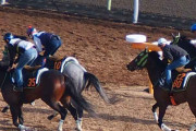 追い切り中に落馬した調教助手が死亡 美浦トレセン