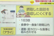 【デブ報】肥満改善薬、薬局販売開始へ