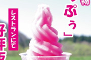 【悲報】道の駅で反日アイスを販売してるｗｗｗｗｗｗ （※画像あり）