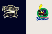 オリックスとヤクルトどっちが勝つと思う？