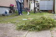 【コントくさい流れ】朝から草刈りをしていたが、犬の落し物を一緒に刈り飛ばした。→終了後…