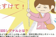 【画像】視覚に障害がある人のSOSサインがこちら　→１７万いいね