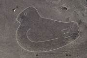 「鳩サブレー」そっくりの「ナスカの地上絵」が新発見される