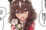 【ウマ娘】可愛いにも二種類…？「中等部の大人と高等部のガキ」