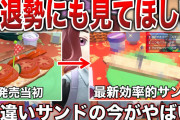 【ポケモンSV】今作の主人公「料理下手のメシマズ君」のイメージがこびり付く