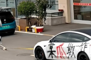 【悲報】中国人、『中古テスラ』を買った結果ｗｗｗｗｗｗｗ