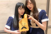 【乃木坂46】この2人は本当にどこに出してもどうにかなる・・・