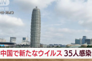 未来永劫中国からの入国は禁止でいい　～　【感染症】新種の「狼牙ヘニパウイルス」、中国東部で35人が感染　動物由来か