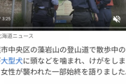 40代女性、ボルゾイに噛みつかれ重傷　飼い主の70代女性「犬が止まらなかった」