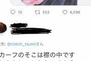【古塔つみ】イラストのトレパク騒動が大きくなりすぎてTwitterアカウントを削除