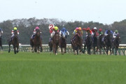 【競馬】東京2500Mこそ至高のコース！JC・ダービーも2500Mにするべき！！！