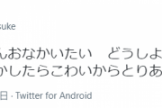 元芸人の声優竹内幸輔さん死去 直前に「人生で一番お腹が痛い」とツイート