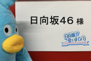 【日向坂46】ポカの正位置