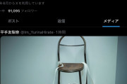 平手友梨奈さん、Xに意味深投稿　[8/28]