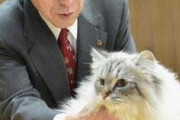 「ナンパもできないこんな世の中じゃ…」　「野良猫なら事案にならない！」