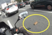 やさしい動画。渋滞の中にみつけた子猫を救ったライダーのヘルメットカム。