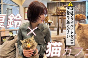 櫻坂46藤吉夏鈴の猫カフェ動画、ひたすら癒やされる【櫻坂チャンネル】