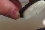 オレオのクッキーとクリームをきれいに分けたい　科学の力で長年の課題を解決
