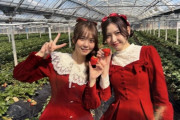 宮崎由加と植村あかりのいちご狩り画像