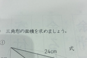 【悲報】国立理系学部出身ワイ、小5レベルの算数の問題を解くのに5分くらいかかってしまうｗｗｗｗ