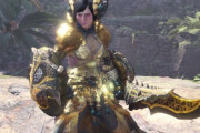 【MHWアイスボーン】片手剣に広域サポート職はいらない？火力ビルドの方がよほど貢献してるという意見も