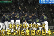 【速報】ヤクルトスワローズ、20年ぶりの日本一！！！！！！