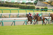 【朗報】競馬初心者なんだけど、楽しむにはどう言う賭け方すれば良いのか・・・・・・・・・