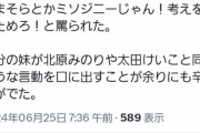 【悲報】ひまそらあかね都知事候補の支持者、家族に布教するも妹に叱られ泣いてしまう