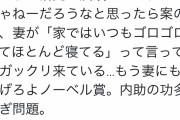【悲報】フェミさん「ノーベル賞は妻のおかげ！家でゴロゴロしてたじじいより妻にあげろ！」
