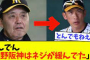 【悲報】岡田監督「矢野阪神はネジが緩んでた」