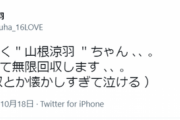【AKB48】お前ら俺の涼羽を泣かすなよ【ずん】