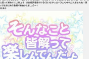 【悲報】カービィ系youtuberさん、アンチコメントにブチギレお気持ち表明