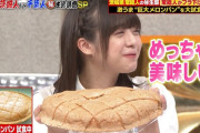 【乃木坂46】なおなお　巨大メロンパン
