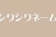 子供の幼稚園にシワシワネームの姉弟がいる　周りがハルトくんとかヒマリちゃんとかだから親からするとちょっと浮いてるように見える