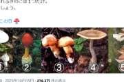 【画像】農水省「食べられるきのこは１つだけ。どれでしょう」