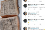 【悲報】性癖が「タイヤ」のやべーやつ、見つかる