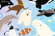 【画像】タコブネ捕まえたから水族館に寄贈してきたｗｗｗｗｗｗ