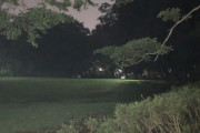 深夜の公園怖すぎワロタ