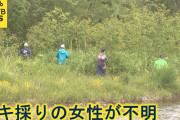70人態勢で捜索中にタクシーで帰宅 山菜採りで行方不明の70代女性 大樹町･北海道