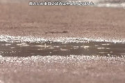 広島ー阪神　雨天のため試合中止　マツダスタジアム　2022/7/18