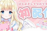 新人Vtuberさん、同じ絵師の先輩Vtuberに「キャラが似ている」という理由で著作権侵害で消される→絵師「似てるキャラ選んだお前が悪い」