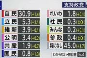 【朗報】れいわ新選組の支持率、結党以来最高を記録。自民に壊された日本を立て直すにはこれしかないんだよ