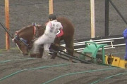 ばんえい競馬で騎手が動けなくなった馬の顔を蹴る　SNSで物議