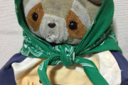 【画像】(ヽ´ん`)「1歳の頃からアライグマのぬいぐるみと寝てる。…見せてやるけど馬鹿にすんなよ」