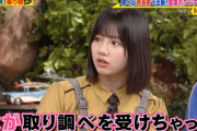 【日向坂46】渡邉美穂、トークでひな会いのアドリブ企画が活きるwww 『世界まる見え！テレビ特捜部』の実況・感想まとめ！