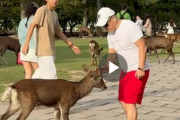 【悲報】シカ問題、結局暴力を振るう外国人はいるのか→　議員が一瞬で遭遇　証拠動画あり