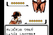ポケモン金銀のワタルってドラゴン使いじゃなくね？