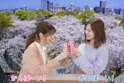 白石麻衣と西野七瀬のバーチャルお花見撮ったのやはりこの人かｗｗｗ期待を裏切らないなｗ【元乃木坂46】