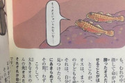 おさかなさん、自分より大きな魚を見るとオスからメスになっちゃうｗｗ